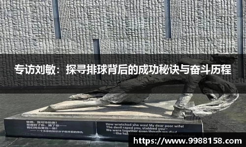 专访刘敏：探寻排球背后的成功秘诀与奋斗历程