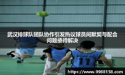 武汉排球队团队协作引发热议球员间默契与配合问题亟待解决